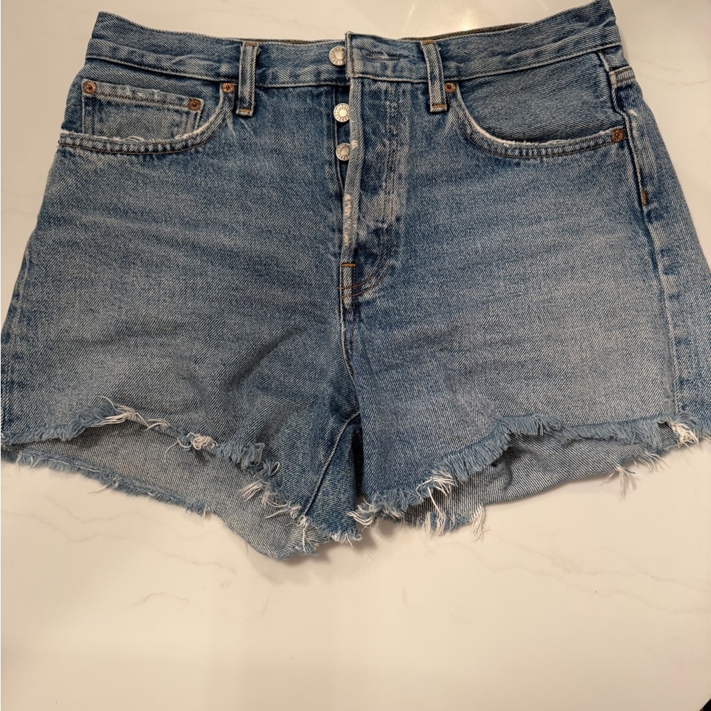 Agolde Parker Long Shorts